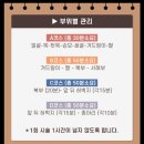 컴퍼니 온도 | 내돈내산 뷰티컴퍼니 고주파마사지기 라디오스마트 대여후기