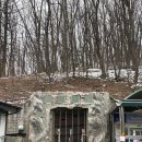 용연동굴 | 국내에서 가장 높은 곳에 위치한 태백 “용연동굴” 동굴탐험 후기! 🦇