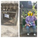 (주)누리여행사 이미지