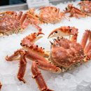 울진 구산어촌체험마을 | 겨울 여행 추천 울진 대게마을 죽변항에서 만나는 제철 대게의 풍미