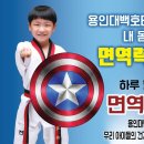 용인대백호태권도장 이미지