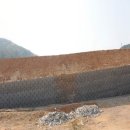 홍성목장 이미지