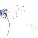 감성 일러스트 캘리그라피 이미지