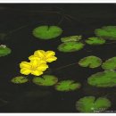 마음의 양식 이미지