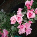 레인보우호텔 이미지