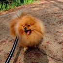 원쿡아카데미 이미지