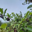 아침농장 - 여수시 죽림중앙로 21-57 | 아침농장