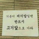 울산 북구/산하동 인생뒷고기