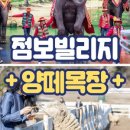 점보빌리지 이미지