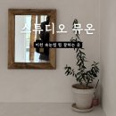 뮤온 - 이천시 | 이천 스튜디오 뮤온 영양 듬뿍 속눈썹펌 후기