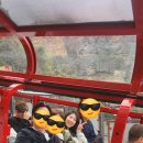 (주) 씨푸드락 네이버블로그