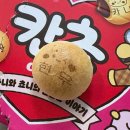 당구세상 | 수업 듣고 당구, 밥 먹고 당구, 집 가기 전 당구