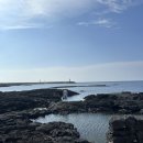 더 스테이 꽃님 이미지