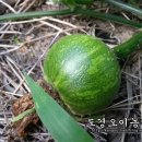 도경농장 이미지