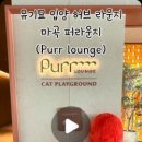 소노수의재단