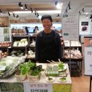 강남채소
