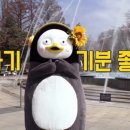 로하핏스튜디오 이미지
