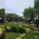 이*호 이미지