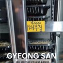돌콩반찬 네이버블로그