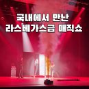 웅이마술사의 신기한 마술이야기 | 최형배 마술사의 울트라매직콘서트 천안 원더매직 마술공연 솔직후기