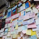 성산일출봉손칼국수 이미지