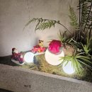 관저중로-12 | [대전·세종 크리스마스 포토존] 5살 아이랑 사진 찍기 좋은 트리가 있는 장소 2곳 방문 후기