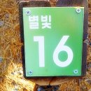 마샬 스탠모어와 함께하는 울산시 울주군 작수천 별빛야영장 후기 2탄