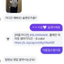 [slowand] 진짜 예쁜 건 직원들이 다 산다. 슬로우앤드 9주년, 직잭 10주년 세일 직원 픽💕 꼭 사야 할...