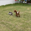 코코앤몽 이미지