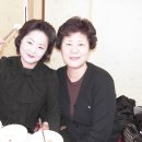 은화정 이미지