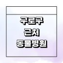 올리브동물병원 | 서울 구로구 근처 동물병원 추천 정보 잘하는곳 새벽 중성화 수술 치료 강아지 고양이 가격 후기 24시 주말