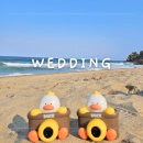 °∘°˳˚∘✿ [Wedding 13] 강릉 지니어스 스튜디오 웨딩촬영 후기 리베블랑후기 ✿∘˚˳°∘°