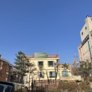 무드무드 이미지