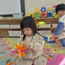 꽃그리고 이미지