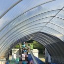 양평원조외갓집체험마을 이미지