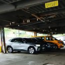 채선당 옥동점 이미지