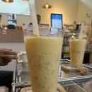 우차이 | 부천역 마라꼬치 및 마우차이(훠궈 1인분) 동한 양꼬치 부천본점 후기