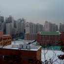 롯데마트 앞 사거리 Daum카페