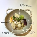 건강하개 먹개 | 강아지 사료 - WOOF 워프 동결건조사료