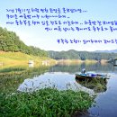 늘푸른낚시 이미지