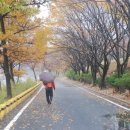 수철경로당 Daum카페