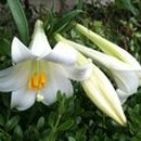 제석초등학교 이미지