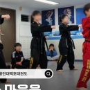 올바른 성장 태권도 이미지