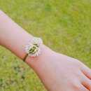 미사리 밀빛 초계국수(칼국수) 이미지