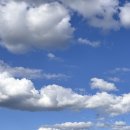 순천중앙초등학교 | 2025 순천 야광 레이스 5km 참가 후기