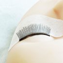 피부실무(주간) | 속눈썹연장학원 속눈썹펌 실습까지 배운 교육 후기