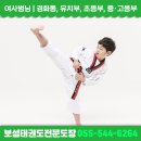 보성태권도전문도장 이미지