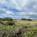 희석목장 이미지