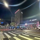 참좋은명품손세차장 | 자갈치시장 명품상회 도다리 밀치 신선하고 양이 많은 가성비 회포장 후기