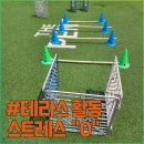 도그유토피아 이미지